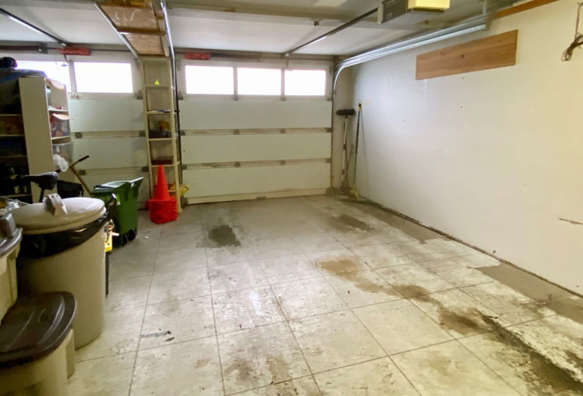 Moldy garage