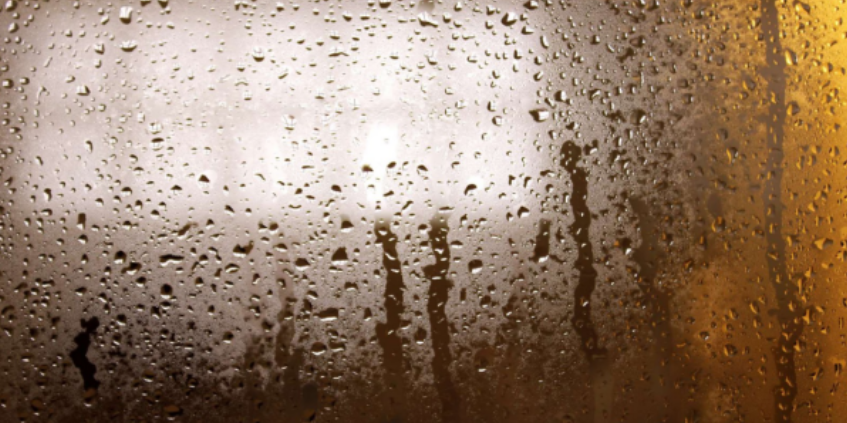 dehumidifier